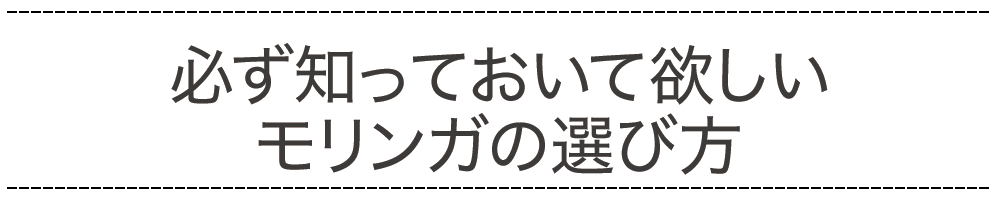 必ず知っておいて欲しいモリンガの選び方
