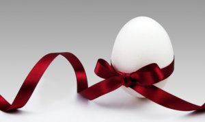 生命の始まりの神秘。あなたが知らない卵子の秘密。