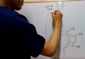 男性にこそ知って欲しい女性の生理（仕組み編）