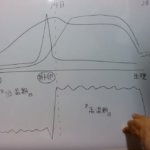 男性にこそ知って欲しい女性の生理(体温とホルモン編)