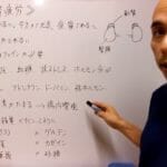 その疲れの原因は副腎疲労かも？簡単チェックと対策法