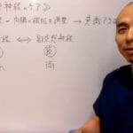 自律神経が乱れる原因と、簡単な整え方とは?