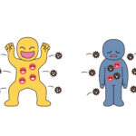 免疫力の誤解と真実/赤磐市周匝/整体院ホーピスト