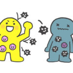 免疫力をアップさせる本当の方法とは?/赤磐市周匝/整体院ホーピスト