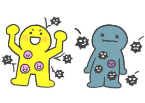 免疫力をアップさせる本当の方法とは？/赤磐市周匝/整体院ホーピスト