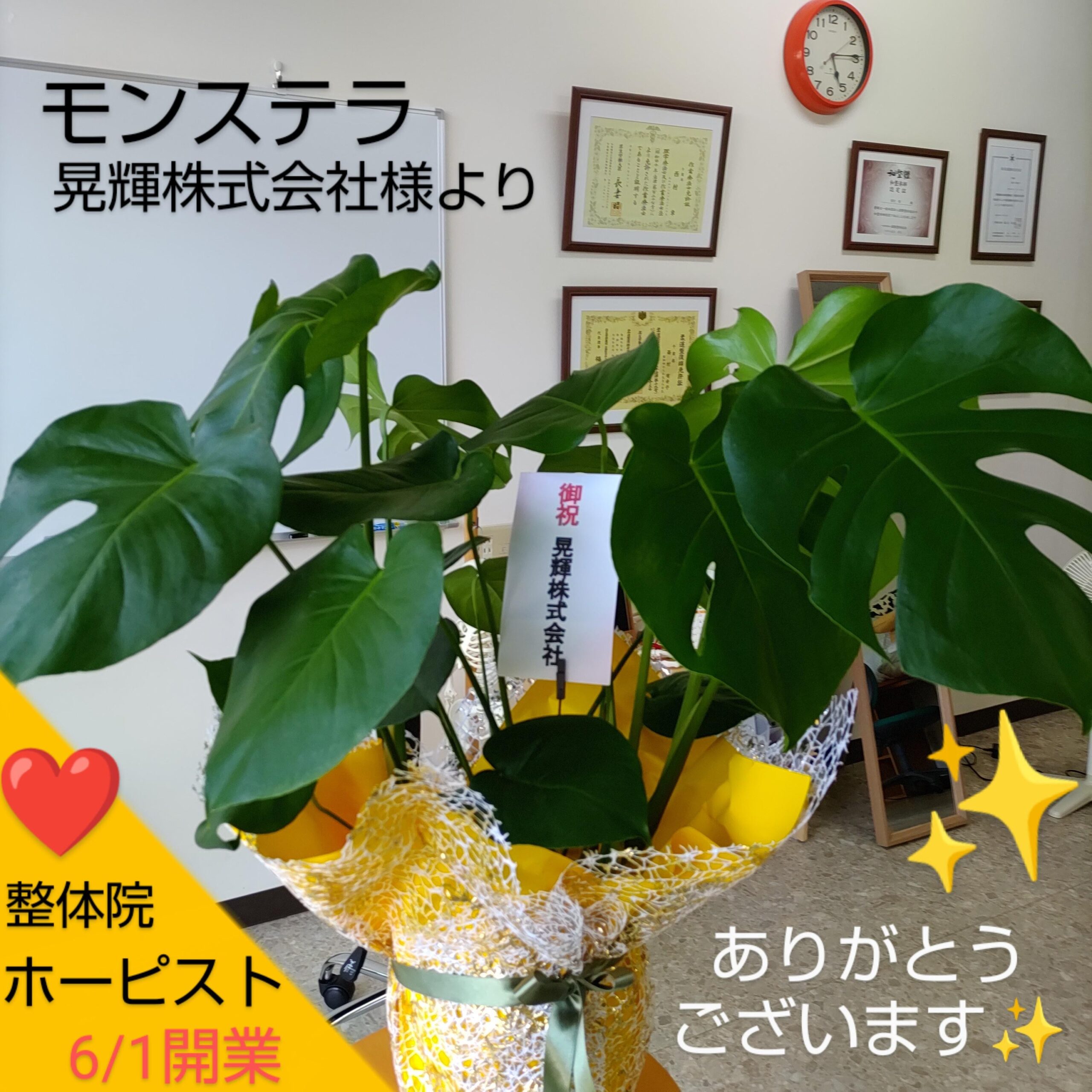 たんぽぽ茶ショウキＴ－１で有名な晃輝株式会社から開業祝い！
